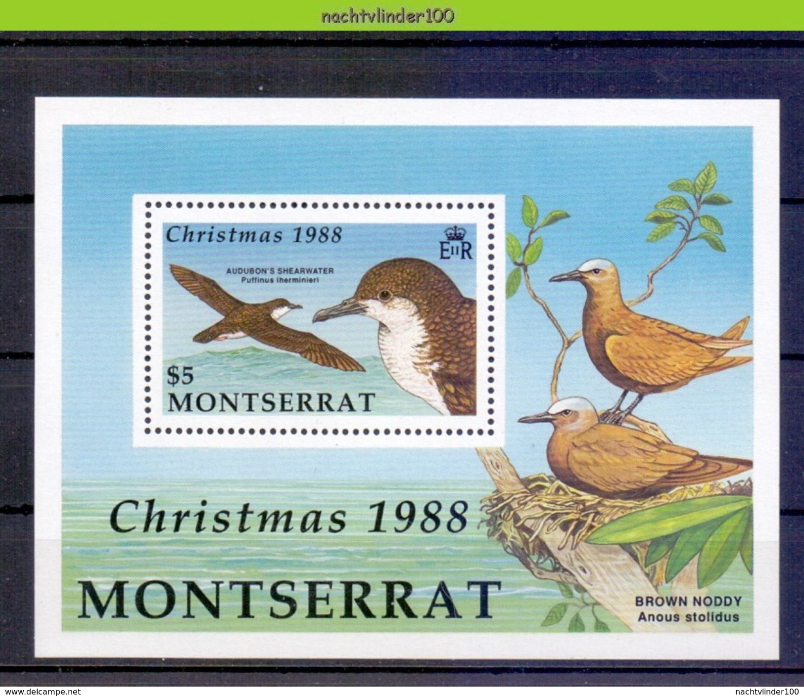 Nbm658 FAUNA VOGELS AUDUBON'S SHEARWATER BROWN NODDY BIRDS VÖGEL AVES OISEAUX MONTSERRAT 1988 PF/MNH - Albatros & Stormvogels