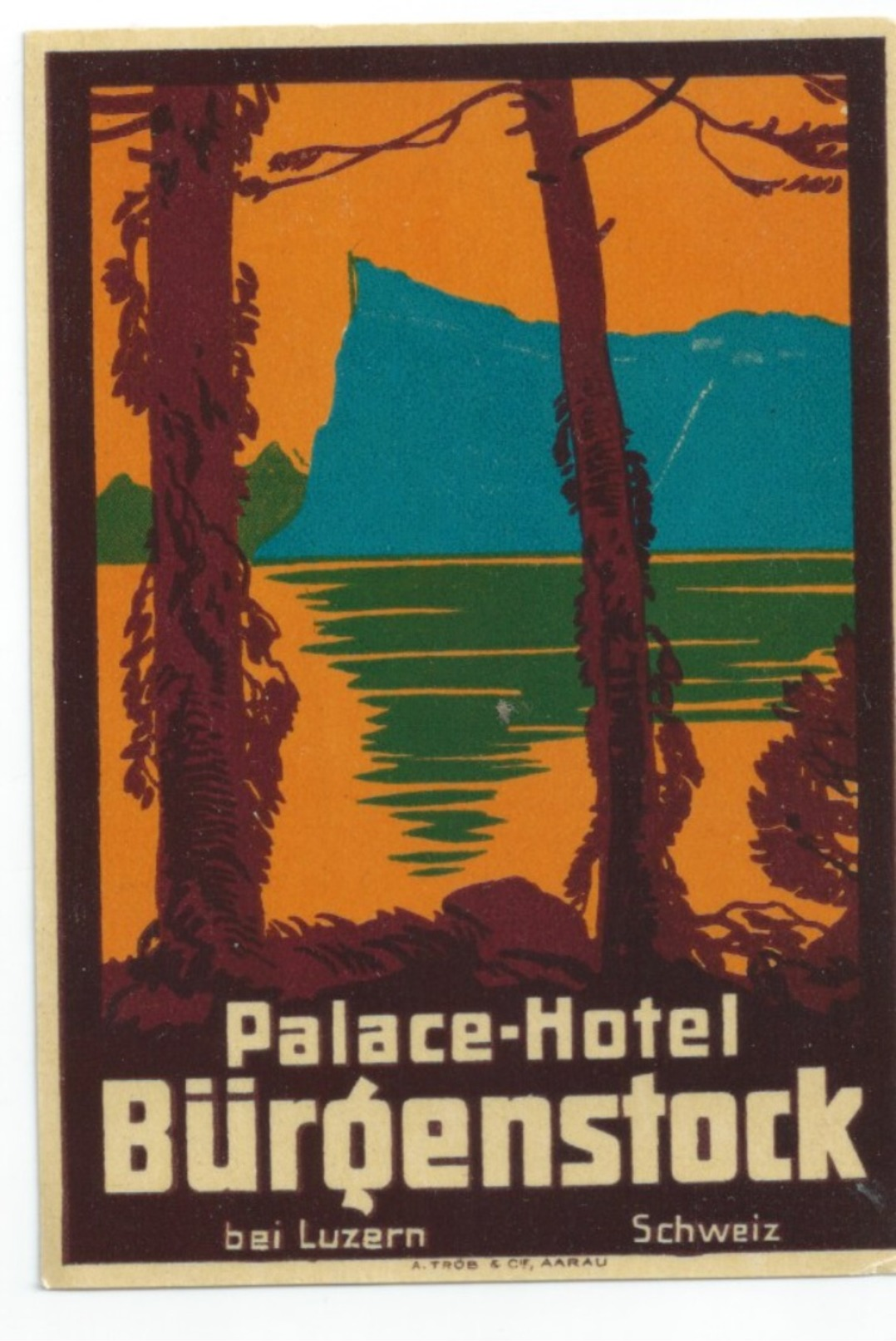 SUISSE - BURGENSTOCK  - Luggage Label étiquette - PALACE HOTEL  - (75X110 Mm) - Etiquettes D'hotels