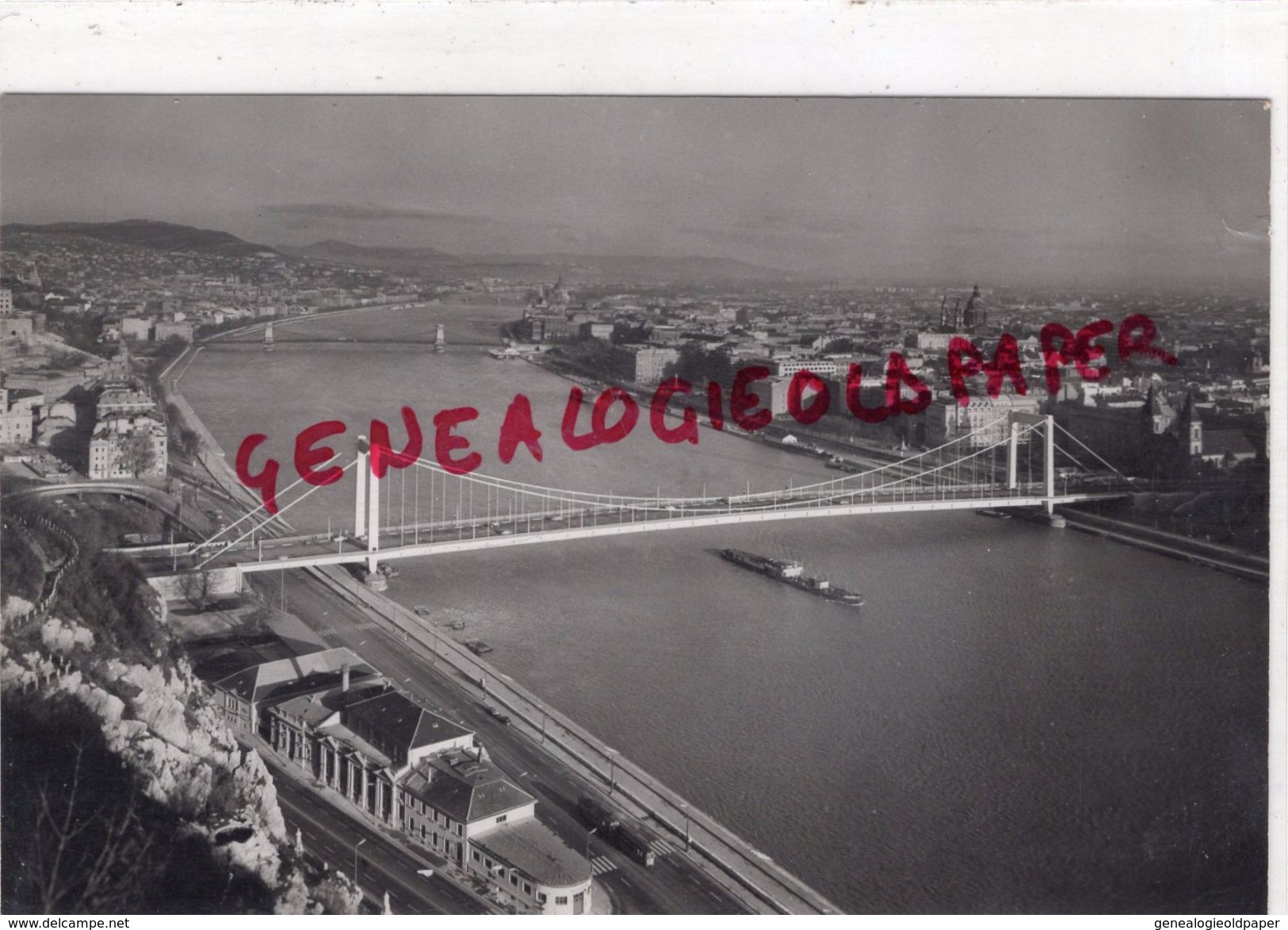 HONGRIE- BUDAPEST - ELISABETH BRIDGE   CARTE PHOTO - Hongrie