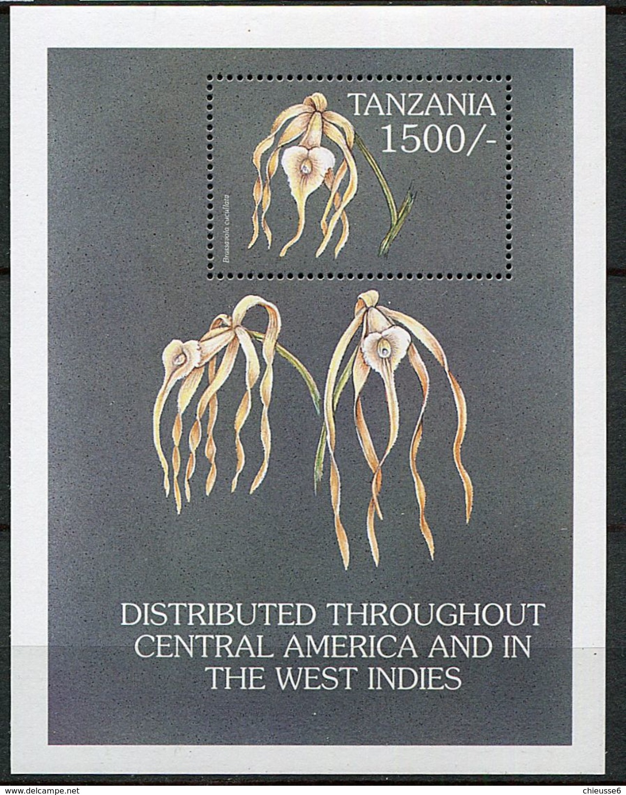 Tanzanie ** Bloc N° 465S - Fleurs : Orchidée - - Tanzania (1964-...)