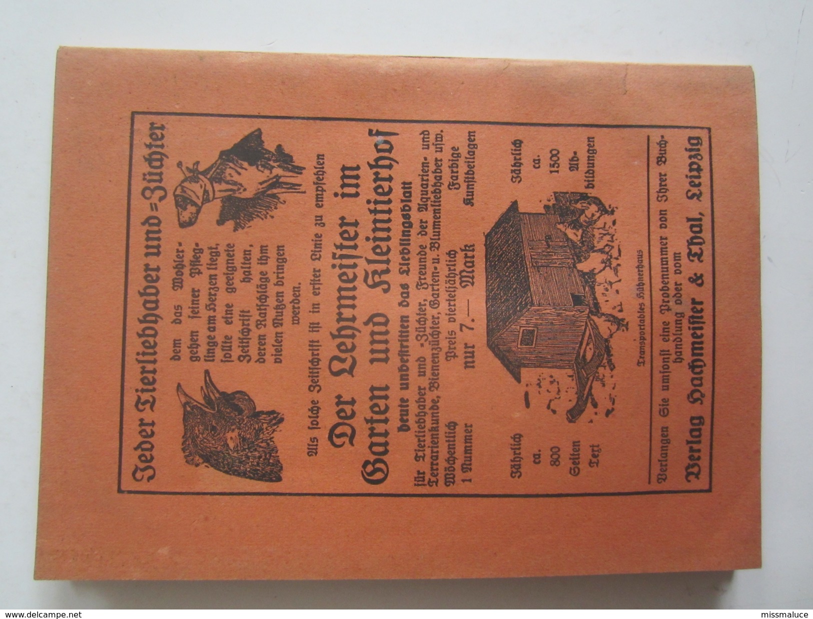 Livre Lehrmeifter Bucherei Buchfuhrung Fur Kaninchenzuchter Maehnes Lapin Agriculture élevage Leipzig 1921 - Autres & Non Classés