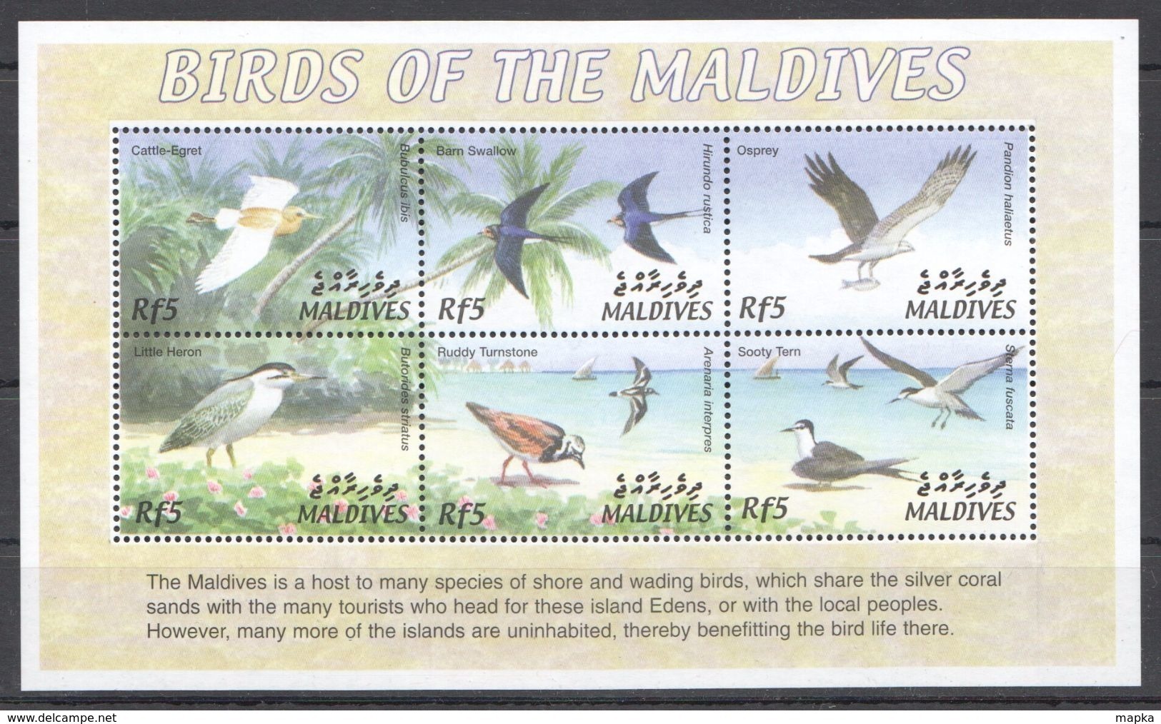 L451 MALDIVES FAUNA BIRDS OF THE MALDIVES 1KB MNH - Sonstige & Ohne Zuordnung