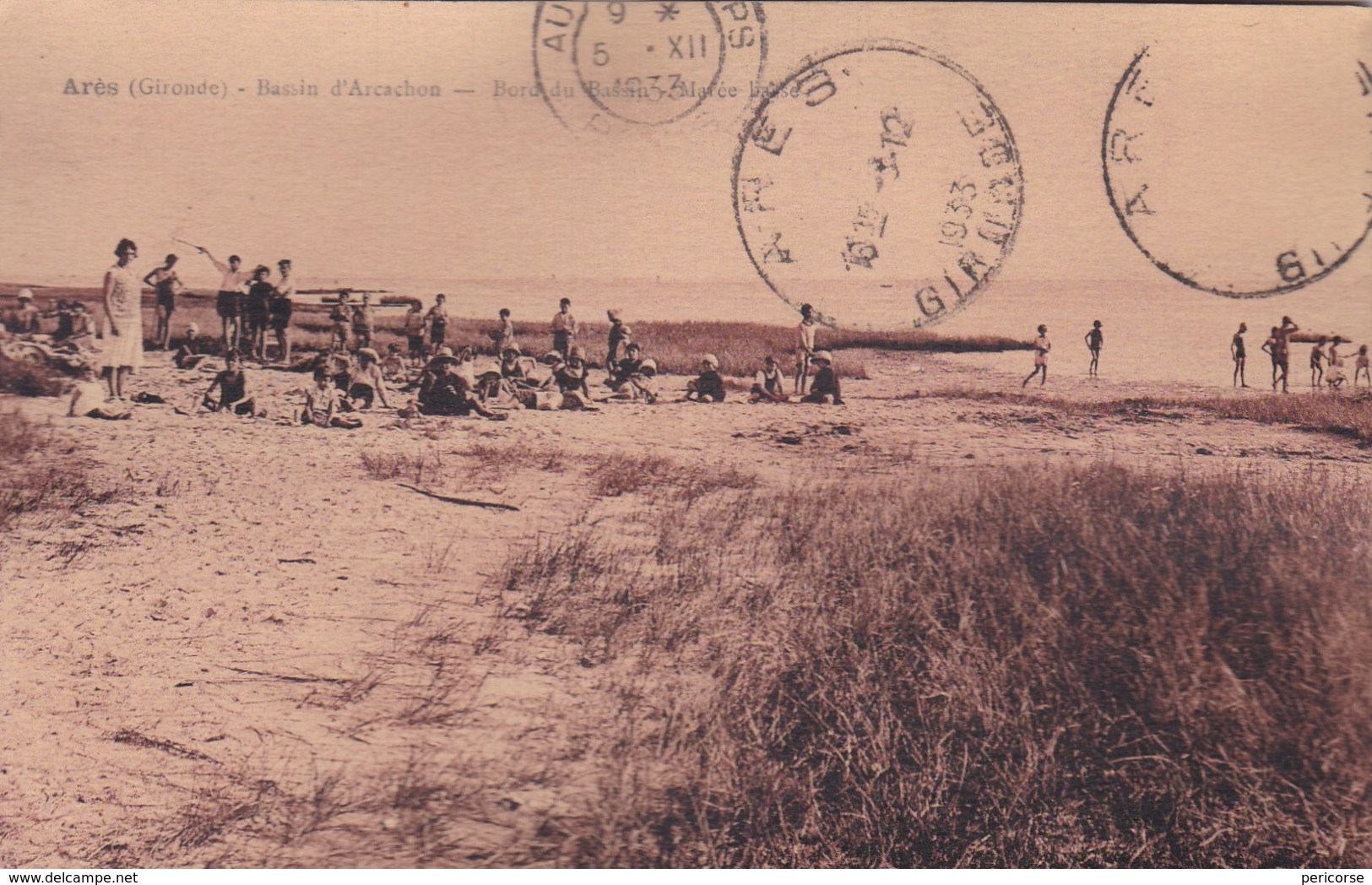 33  Ares  Bord Du Bassin à Marée Basse - Arès