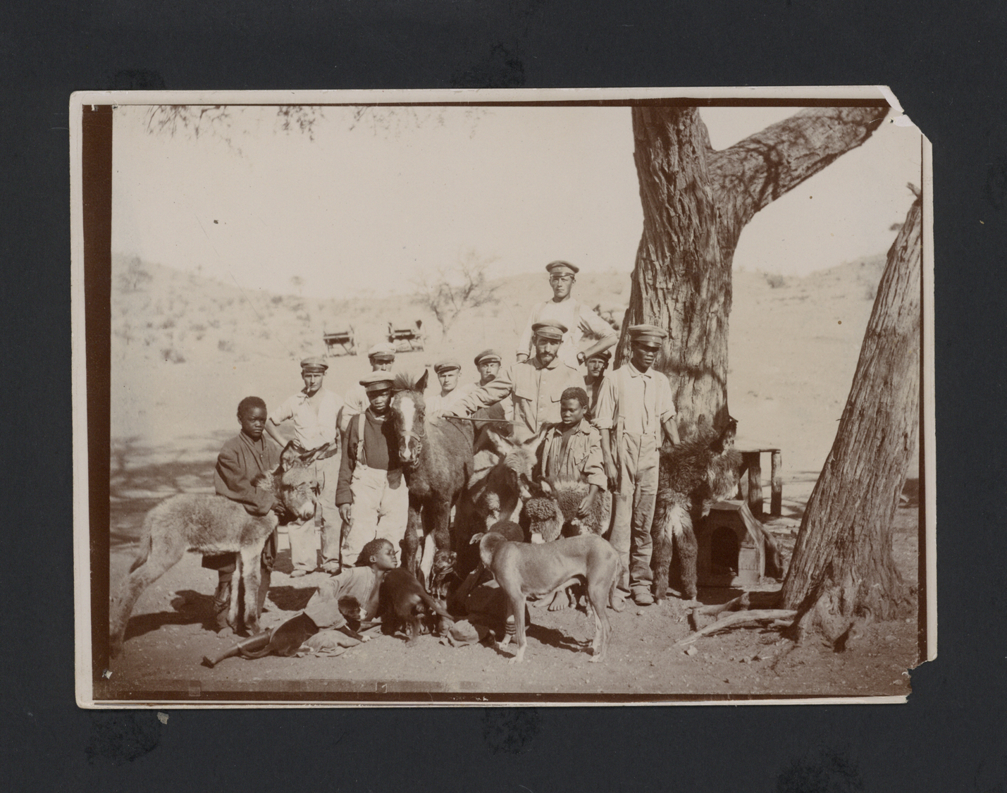 Deutsch-Ostafrika - Besonderheiten:  1906 (ca): Deutschsüdwestafrika Fotoalbum 46 Fotos Eingeklebt , - Duits-Oost-Afrika