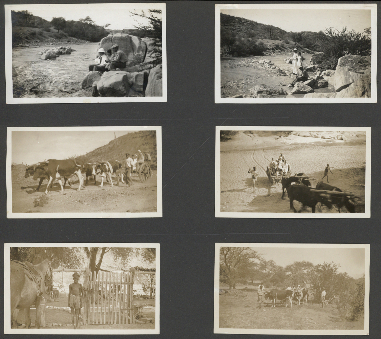 Deutsch-Südwestafrika - Besonderheiten: 1920/1960 (ca): Fotoalben Einer Deutschen Familie Die Nach D - Sud-Ouest Africain Allemand