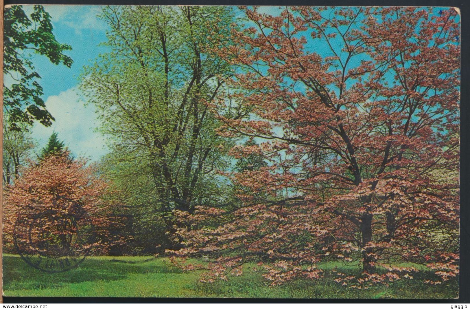 °°° 9302 - USA - CT - DOGWOOD - 1969 °°° - Bridgeport