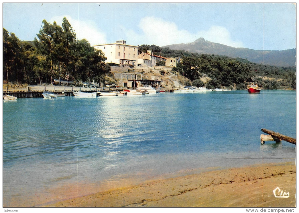 SOLENZARA  VUE SUR LE PORT - Autres & Non Classés