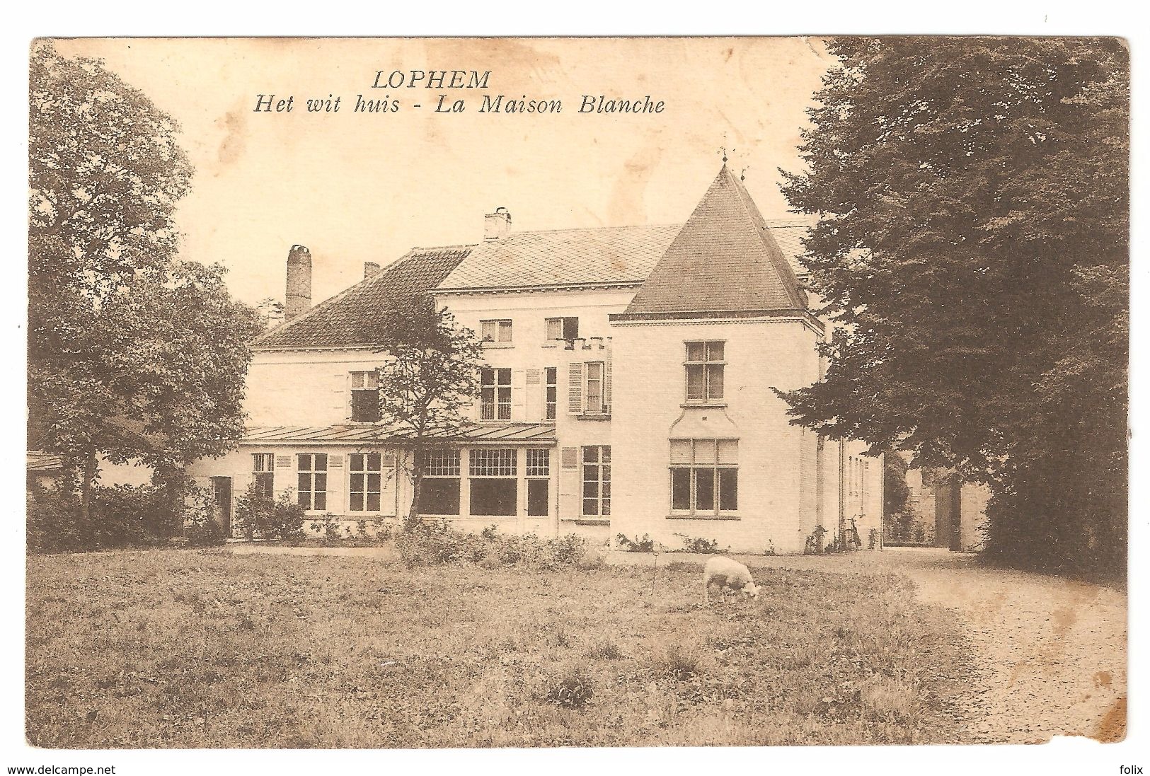 Loppem / Lophem - Het Wit Huis / La Maison Blanche - Uitg. Osselaere - Lippens - Zedelgem