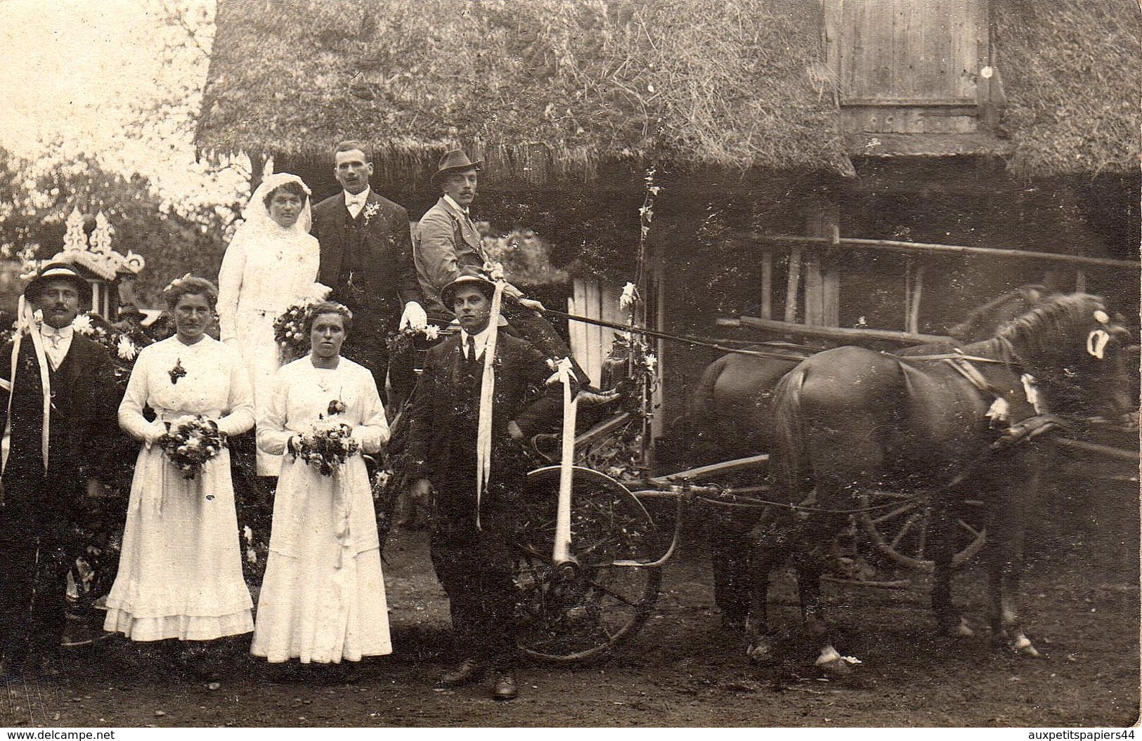 Carte Photo Original Voiture Hippomobile - Attelage à Deux Décoré Pour Mariage & Mariés à La Ferme Vers 1910 - Automobiles