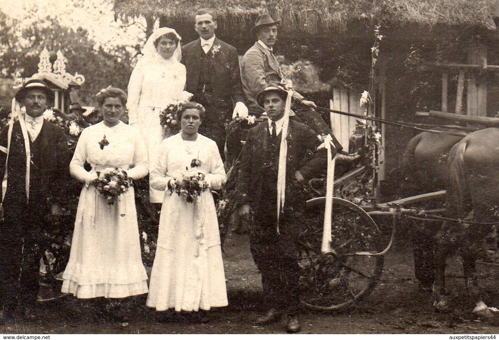 Carte Photo Original Voiture Hippomobile - Attelage à Deux Décoré Pour Mariage & Mariés à La Ferme Vers 1910 - Automobiles