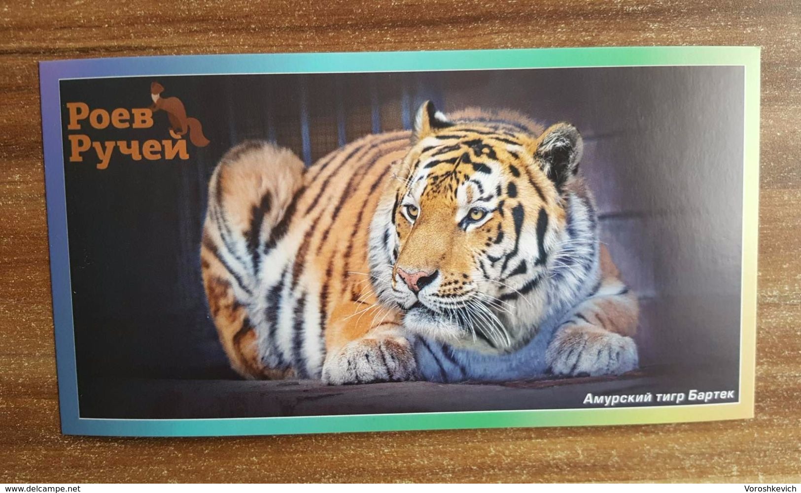 Russia. 2017. Fauna. Animals. Krasnoyarsk Zoo "Roev Ruchey" - Russia