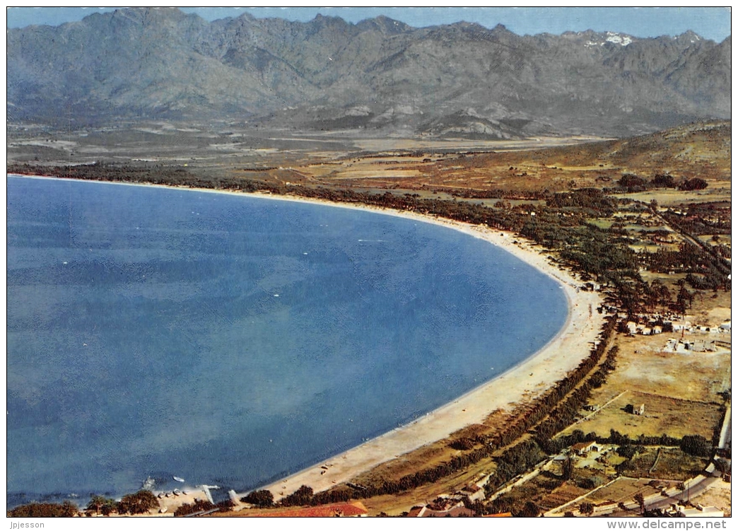 CALVI  VUE AERIENNE  LA PINEDE ET LA PLAGE - Calvi