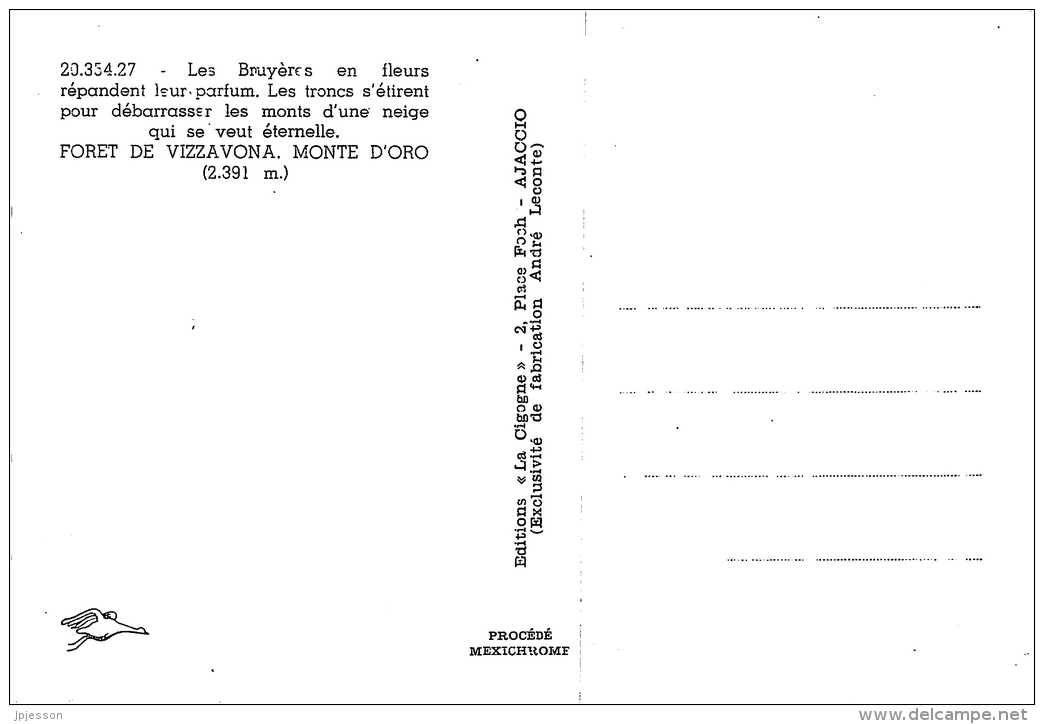FORET DE VIZZAVONA. MONTE D'ORO - Autres & Non Classés