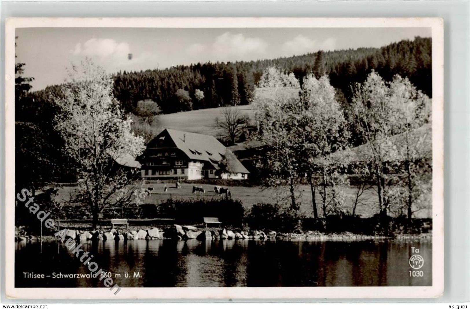 52632526 - Titisee Titisee-Neustadt - Titisee-Neustadt