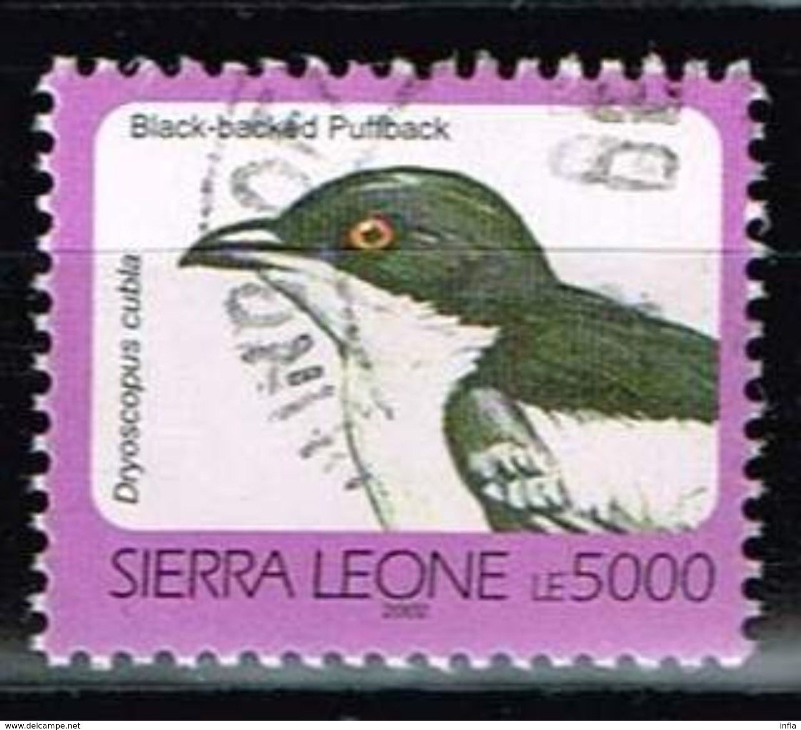 Sierra Leone 2002, Michel# O Black-backed Puffback - Sonstige & Ohne Zuordnung