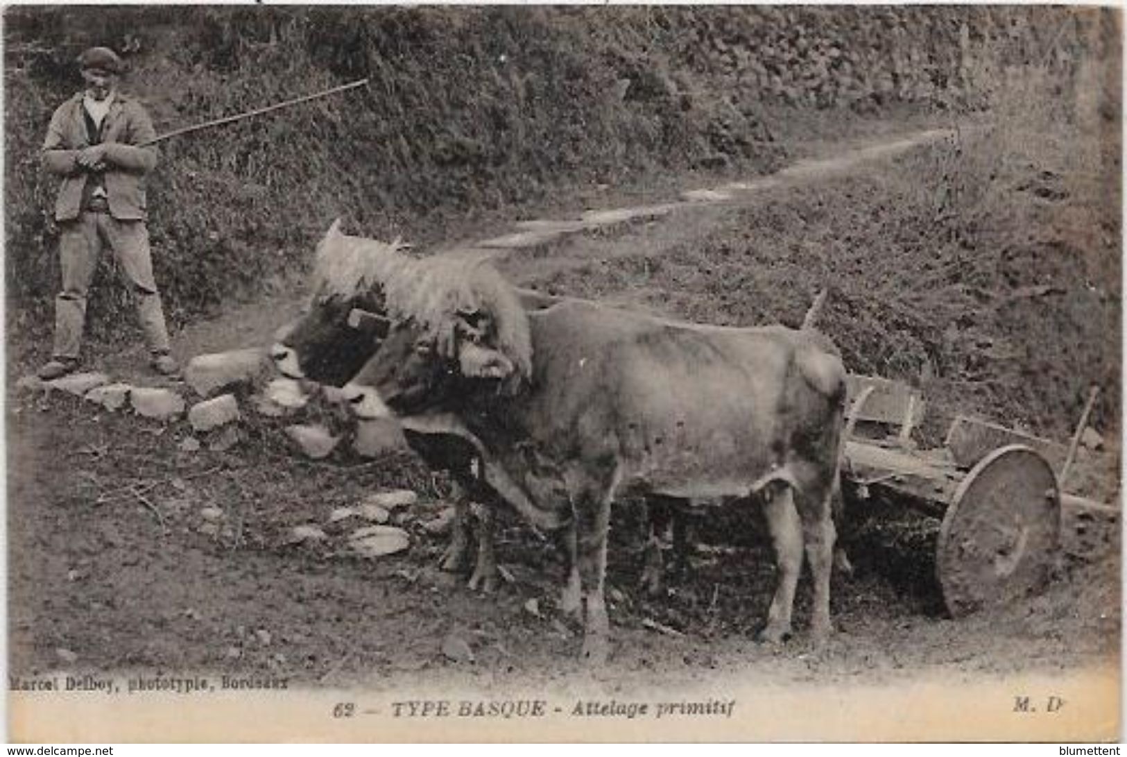 CPA  Attelage Campagne Travaux Des Champs Métier écrite Pays Basque - Wagengespanne