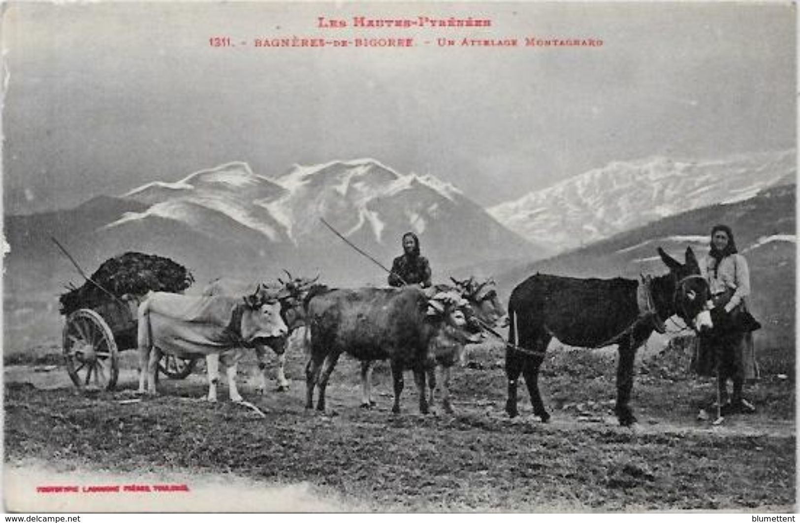 CPA  Attelage Campagne Travaux Des Champs Métier Non Circulé Pyrénées Bagnères De Bigorre Ane Labouche - Teams