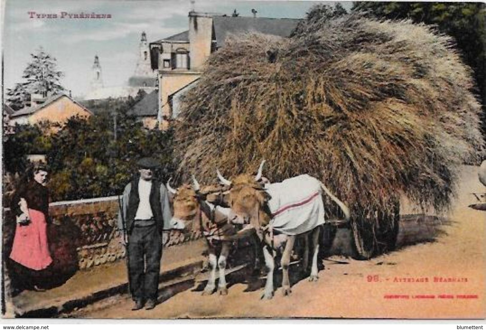 CPA  Attelage Campagne Travaux Des Champs Métier Non Circulé Pyrénées Béarn - Teams