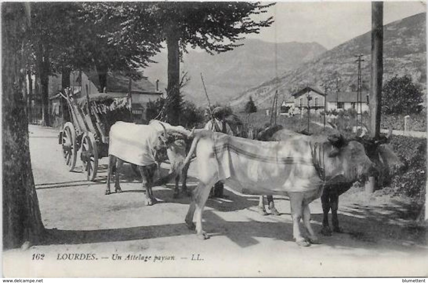 CPA  Attelage Campagne Travaux Des Champs Métier Non Circulé Pyrénées - Teams