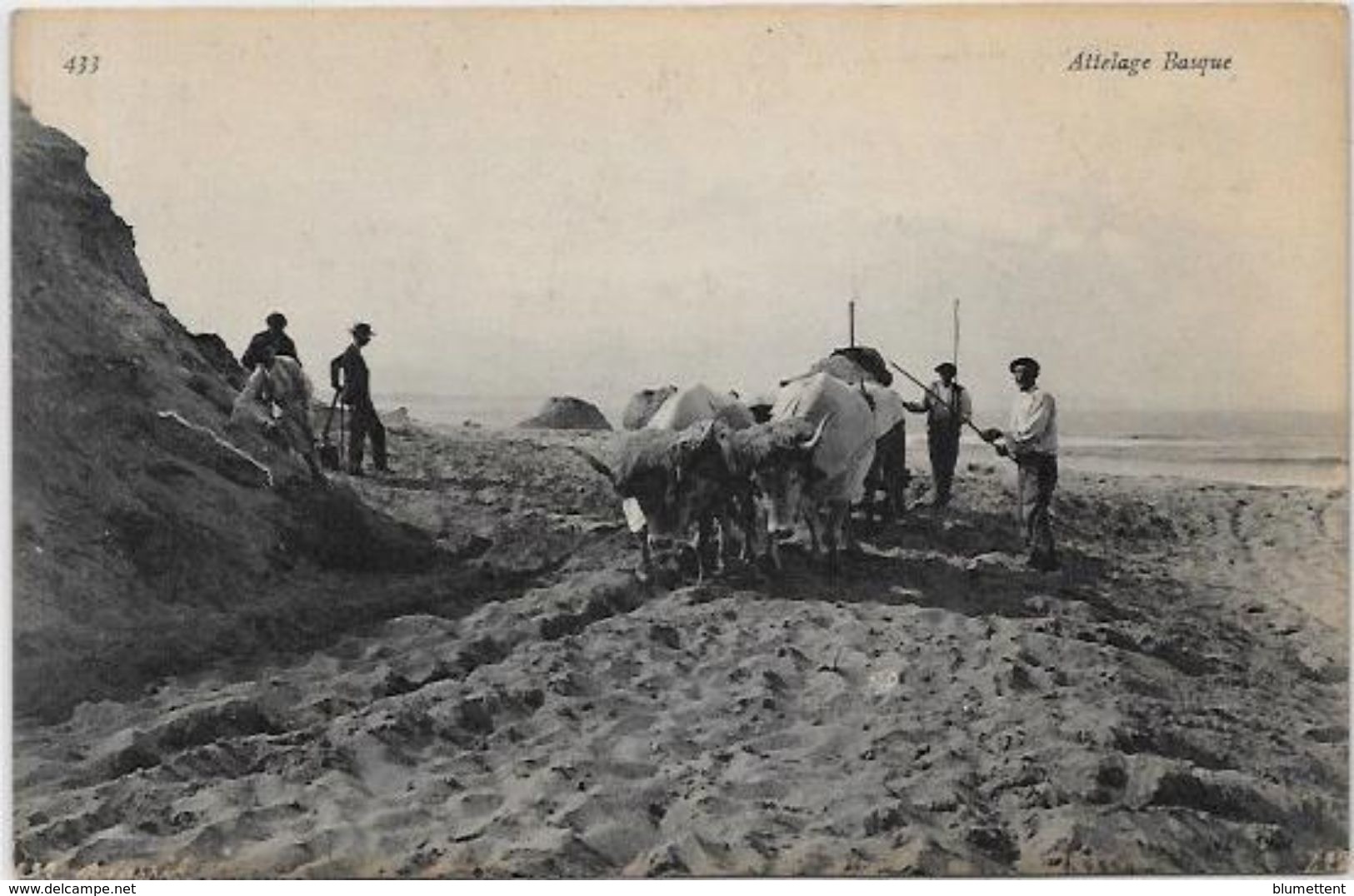 CPA  Attelage Campagne Travaux Des Champs Métier Non Circulé Pyrénées Pays Basque - Teams