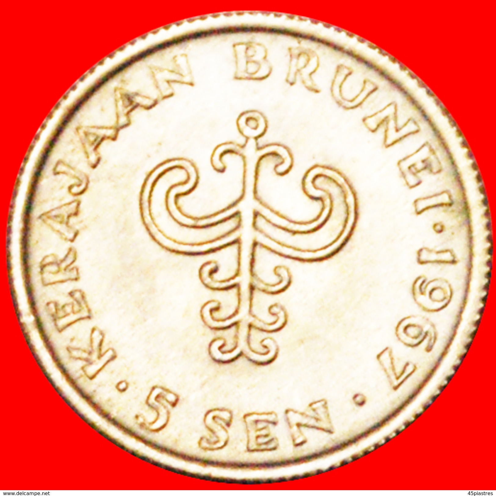 • TREE: BRUNEI ★ 5 SEN 1967! LOW START ★ NO RESERVE! - Brunei