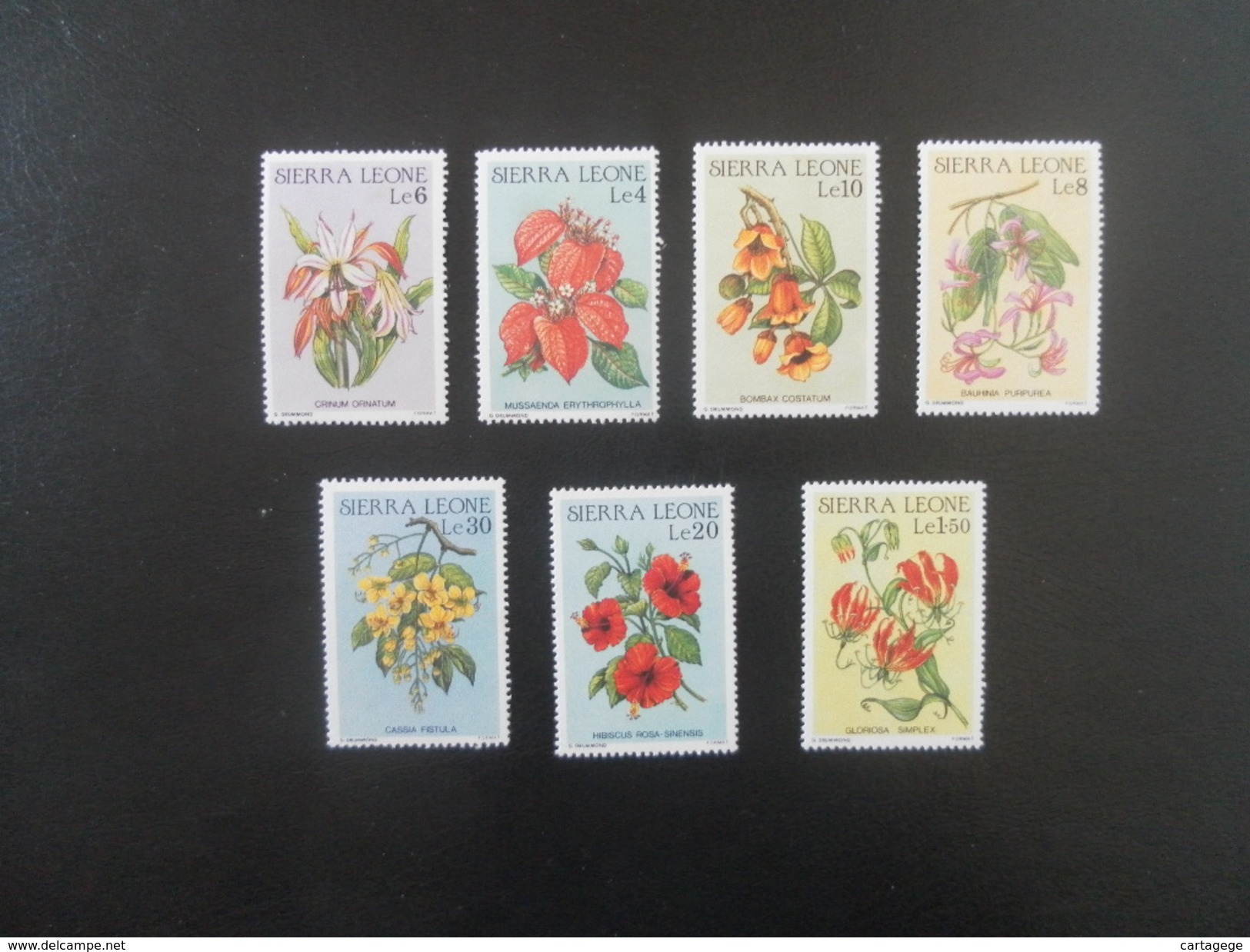 TIMBRES DE SIERRA LEONE - FLEURS (7 TIMBRES)** - Sierra Leone (1961-...)