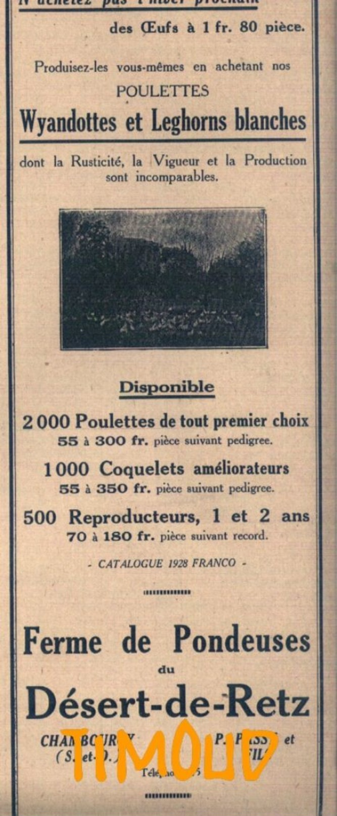 FERME DE PONDEUSES DU DESERT DE RETZ / AVICULTURE /  P. PASSY & FILS / CHAMBOURCY / SEINE & OISE  / PUB 1932 - Non Classés