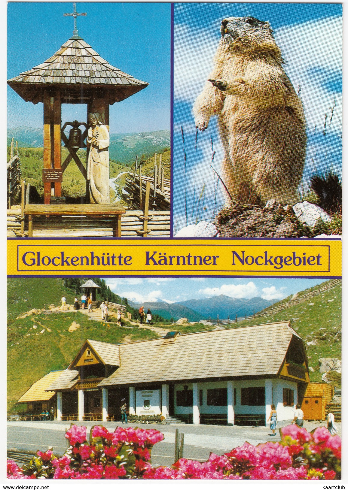 Glockenhütte - Nationalpark 'Nockberge' - Nockalmstraße - Murmeltier -  (Austria) - Gurk