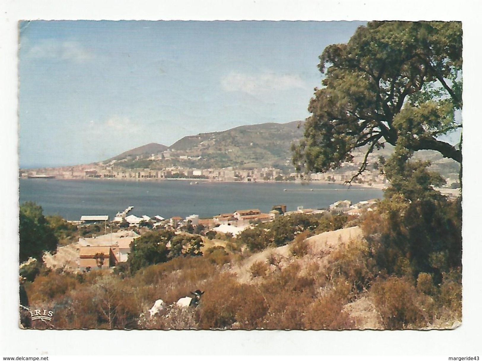 CPSM CORSE - AJACCIO VUE GENERALE PRISE D'ASPRETTO - Ajaccio