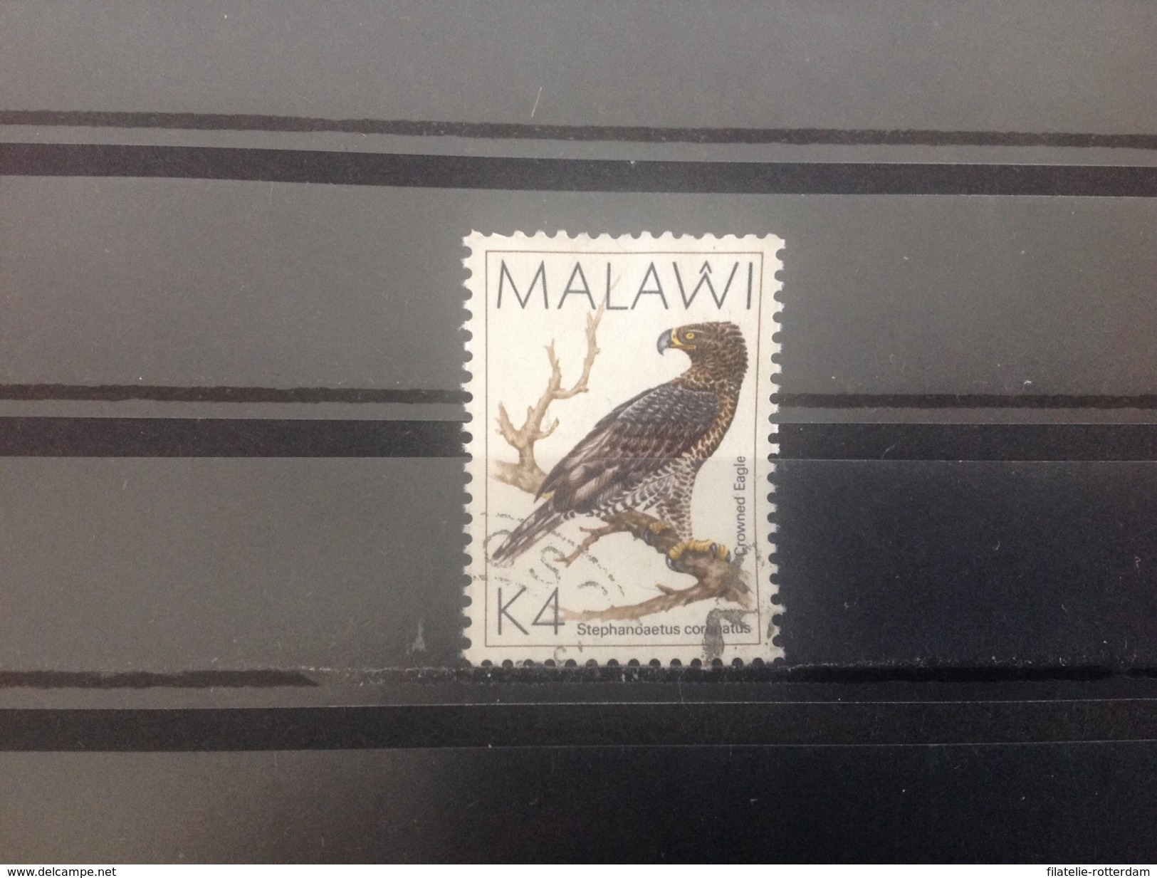 Malawi - Vogels (K4) 1988 - Malawi (1964-...)