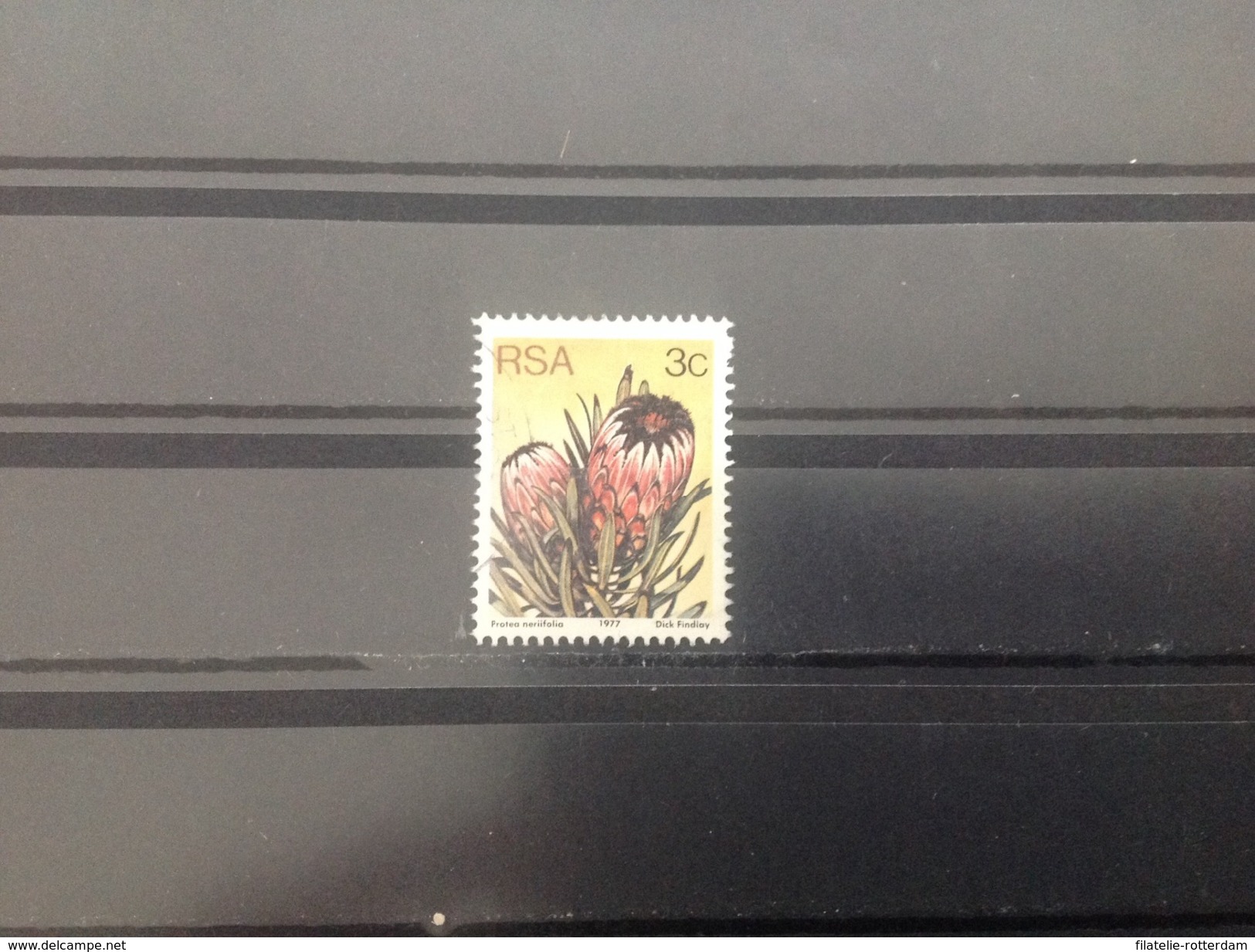 Zuid-Afrika / South Africa - Protea (3) 1977 - Gebruikt