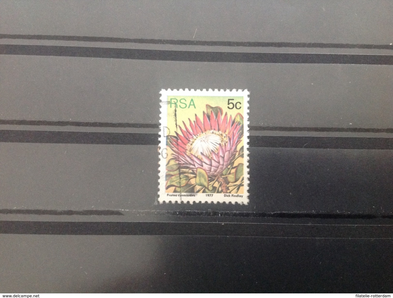 Zuid-Afrika / South Africa - Protea (5) 1977 - Gebruikt