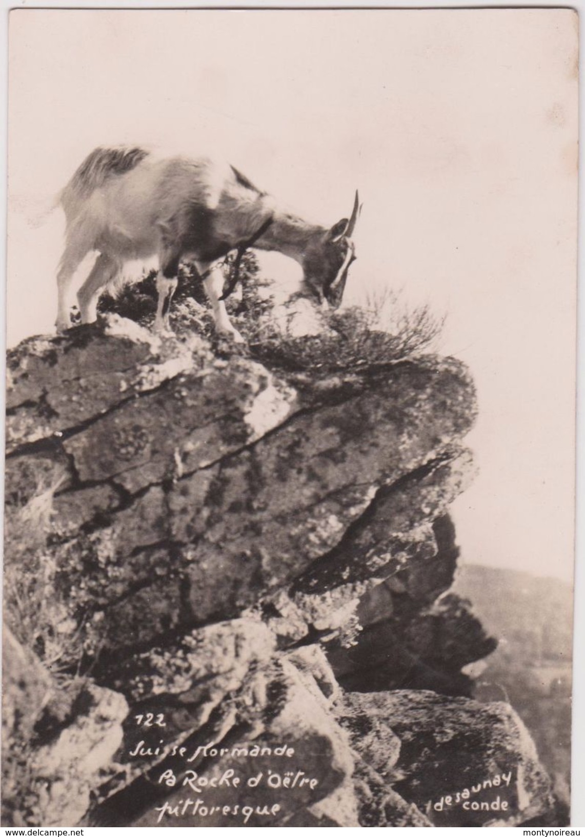 Orne :  LA ROCHE D ' OETRE -  Breel  :  Chévre  Au  Dessus  Du  Rocher  , Suisse  Normande, Condé  Desaunay - Autres & Non Classés