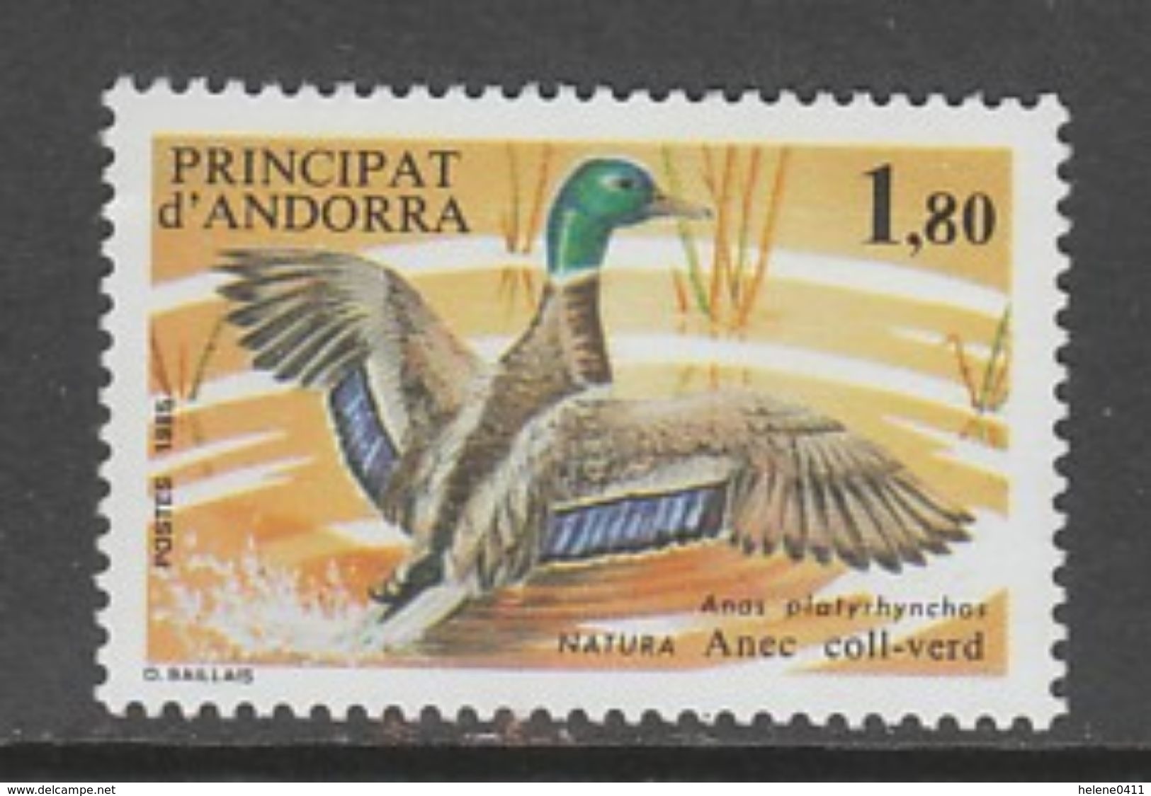 TIMBRE NEUF D'ANDORRE FR - CANARD COLVERT : ANAS PLATYRHYNCHOS (PROTECTION DE LA NATURE) N° Y&T 342 - Entenvögel