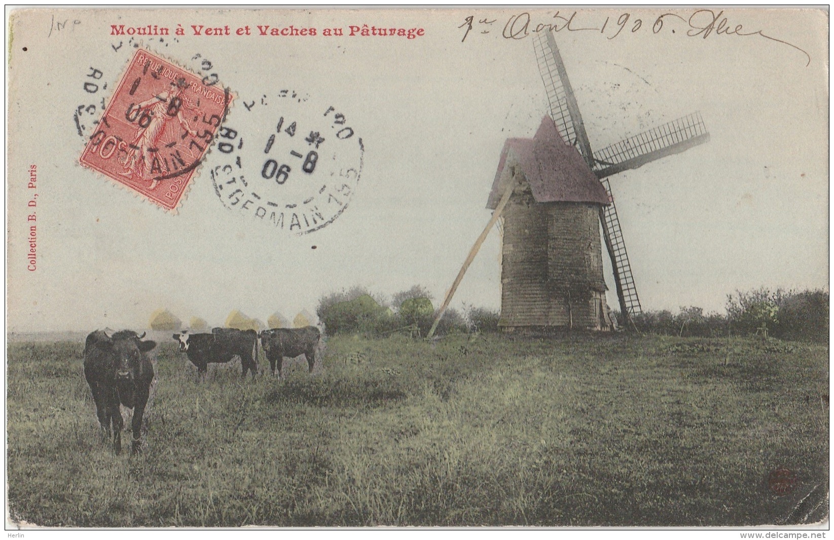 AGRICULTURE - Moulin à Vent Et Vaches Au Pâturage - Viehzucht