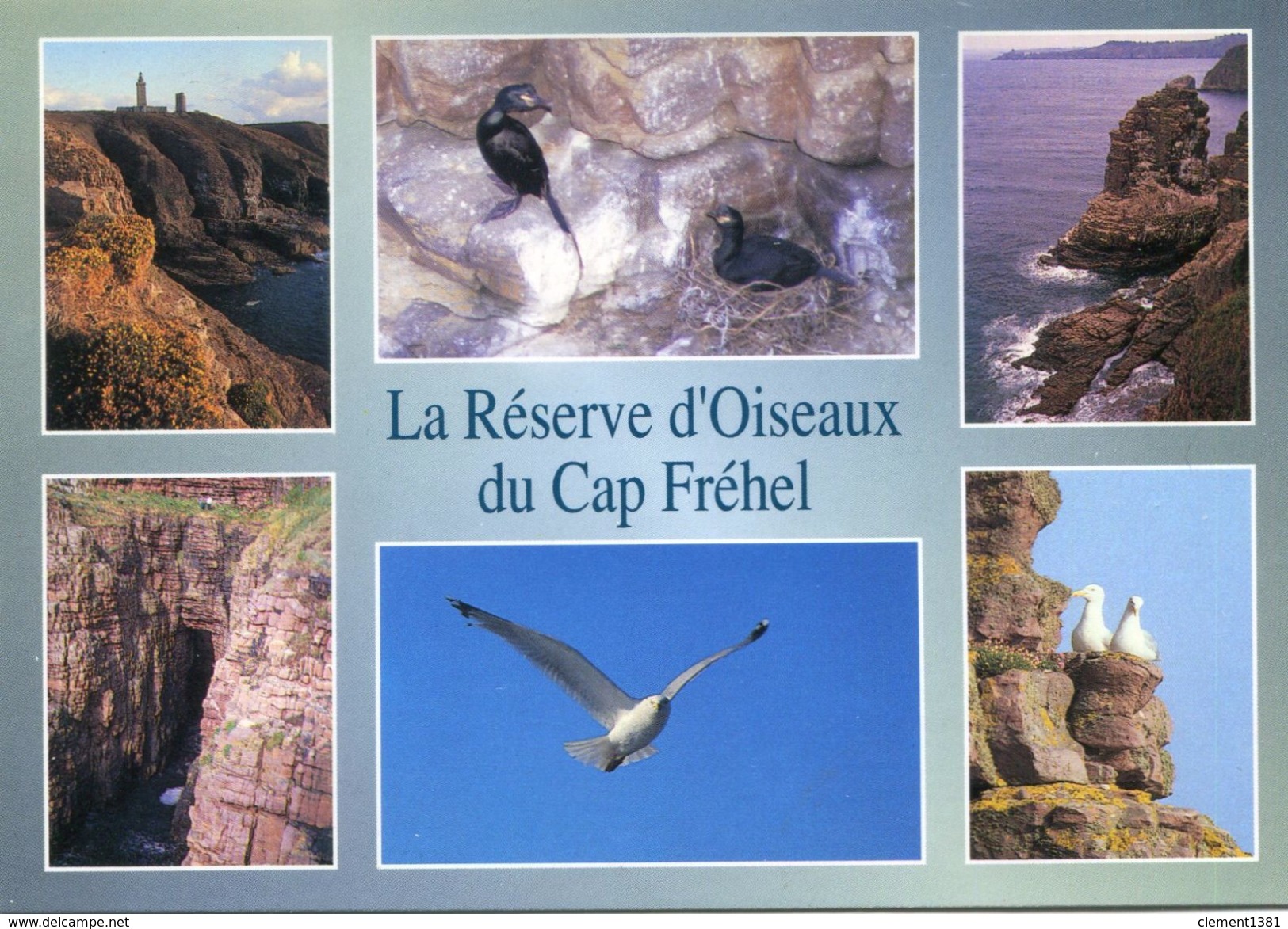 Le Cap Frehel Et Ses Reserves D'oiseaux - Cap Frehel