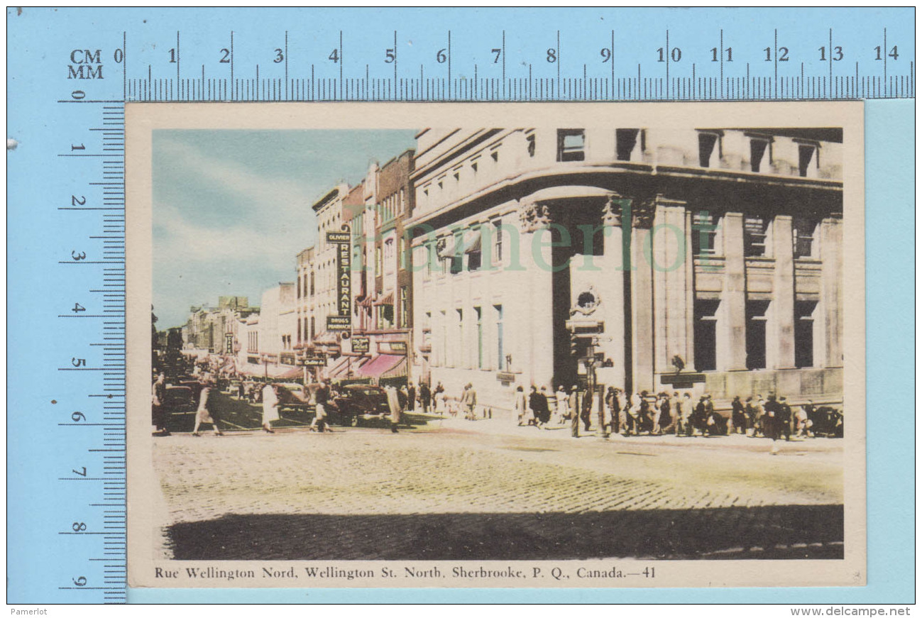 Sherbrooke Quebec - Foule Rue Wellington Nord , Restaurant Olivier - Post Card Carte Postale - Sherbrooke