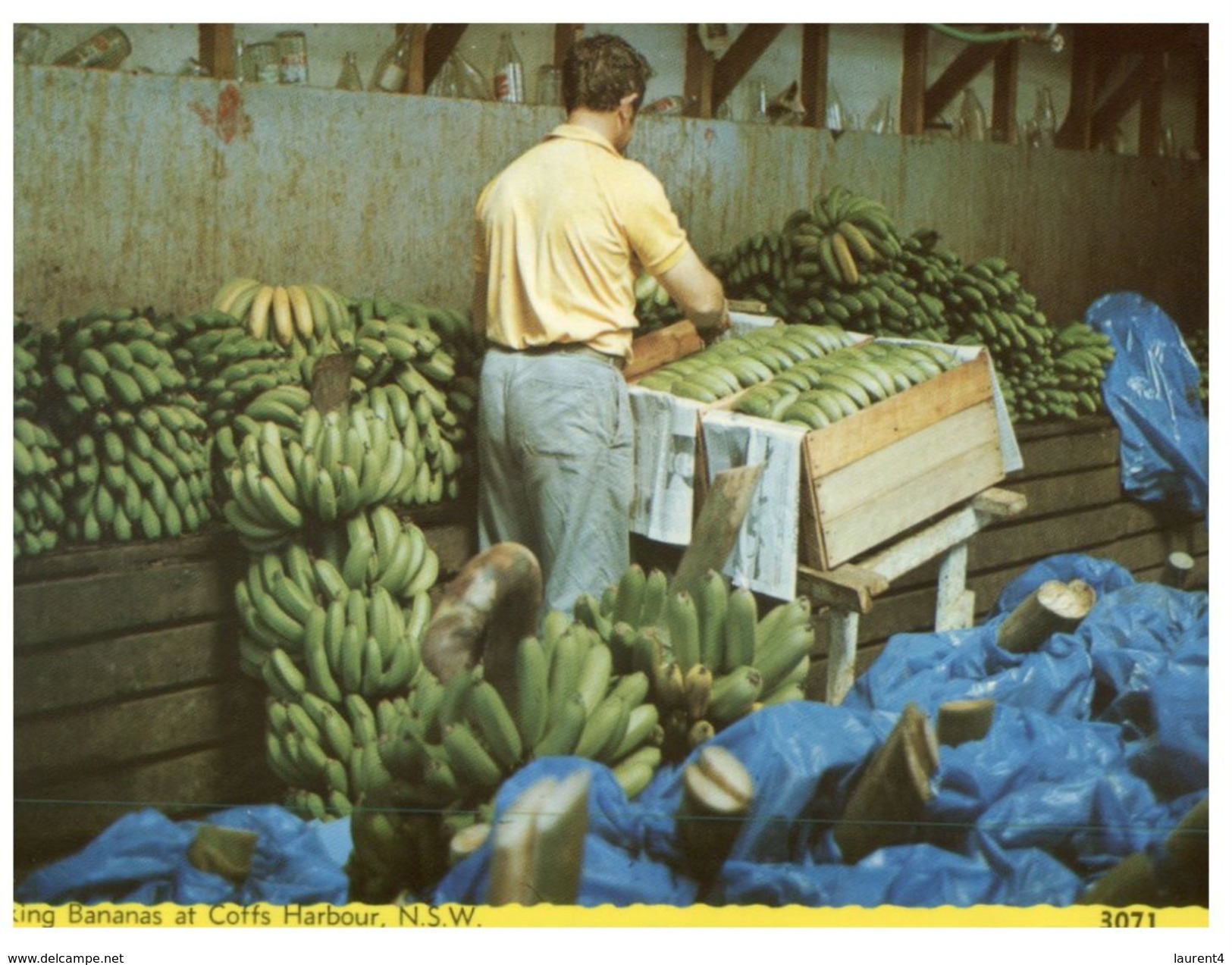 (777) Australia - NSW - Coffs Harbour Banan Industrie - Coffs Harbour