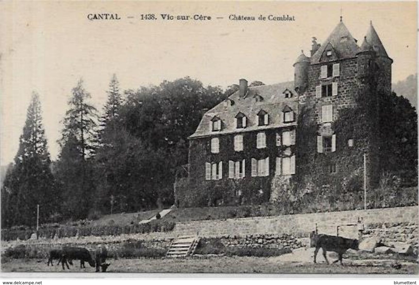 CPA Vic Sur Cère Cantal Auvergne Non Circulé - Autres & Non Classés