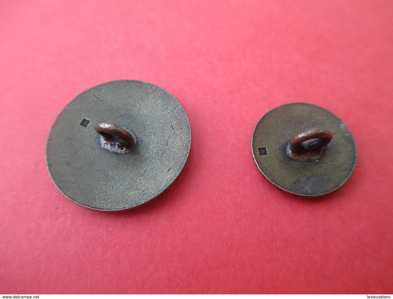 2 Boutons De Livrée De Tailles Différentes,Couleur Bronze/Monogramme CFA/Origine à Déterminer /Fin XXéme    BOUT115 - Boutons