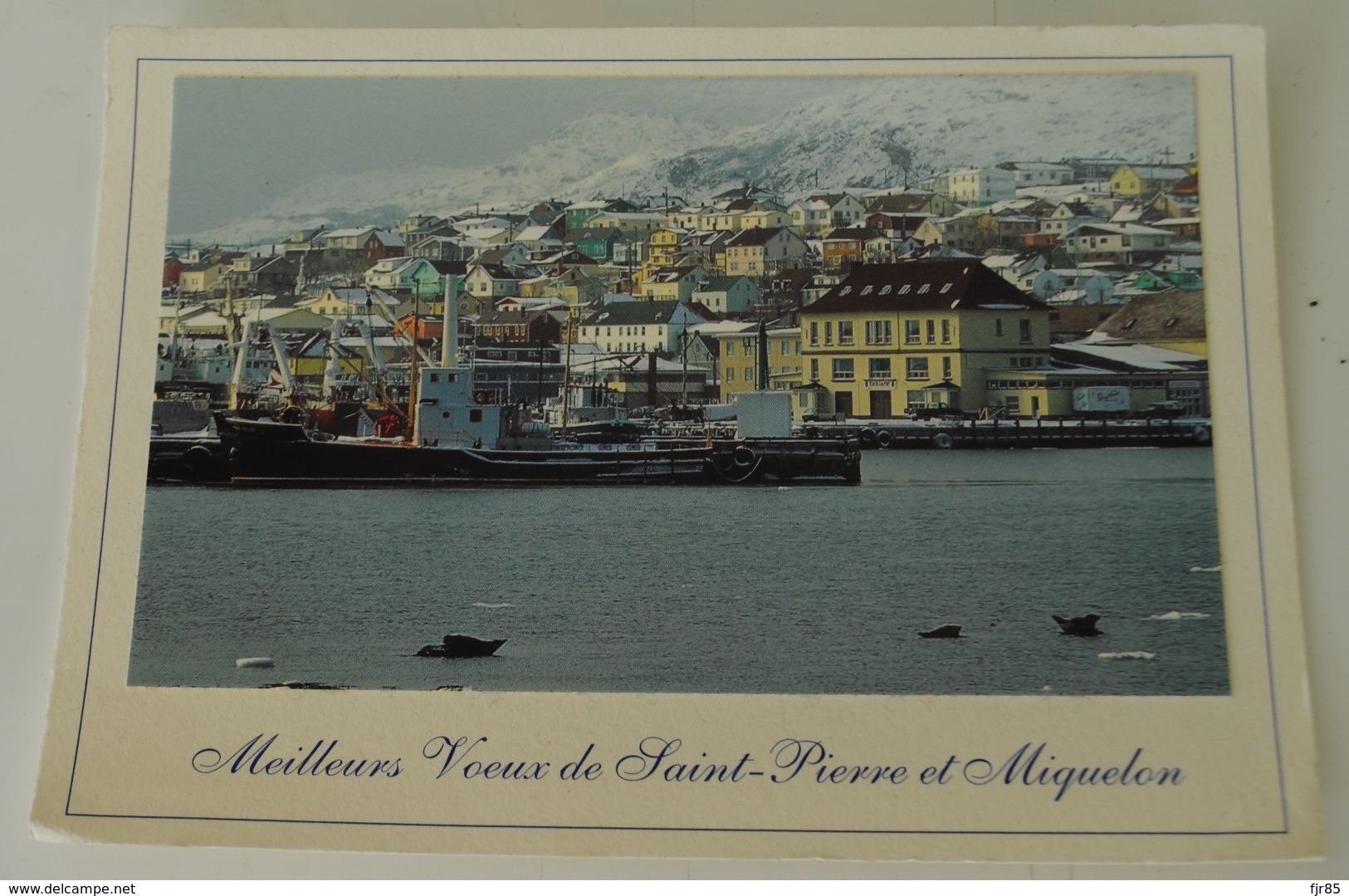 SAINT PIERRE ET MIQUELON  PHOTO CARTE DE VOEUX - Saint-Pierre-et-Miquelon