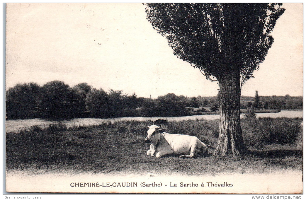 72 CHEMIRE LE GAUDIN - La Sarthe à Thévalles - Autres & Non Classés