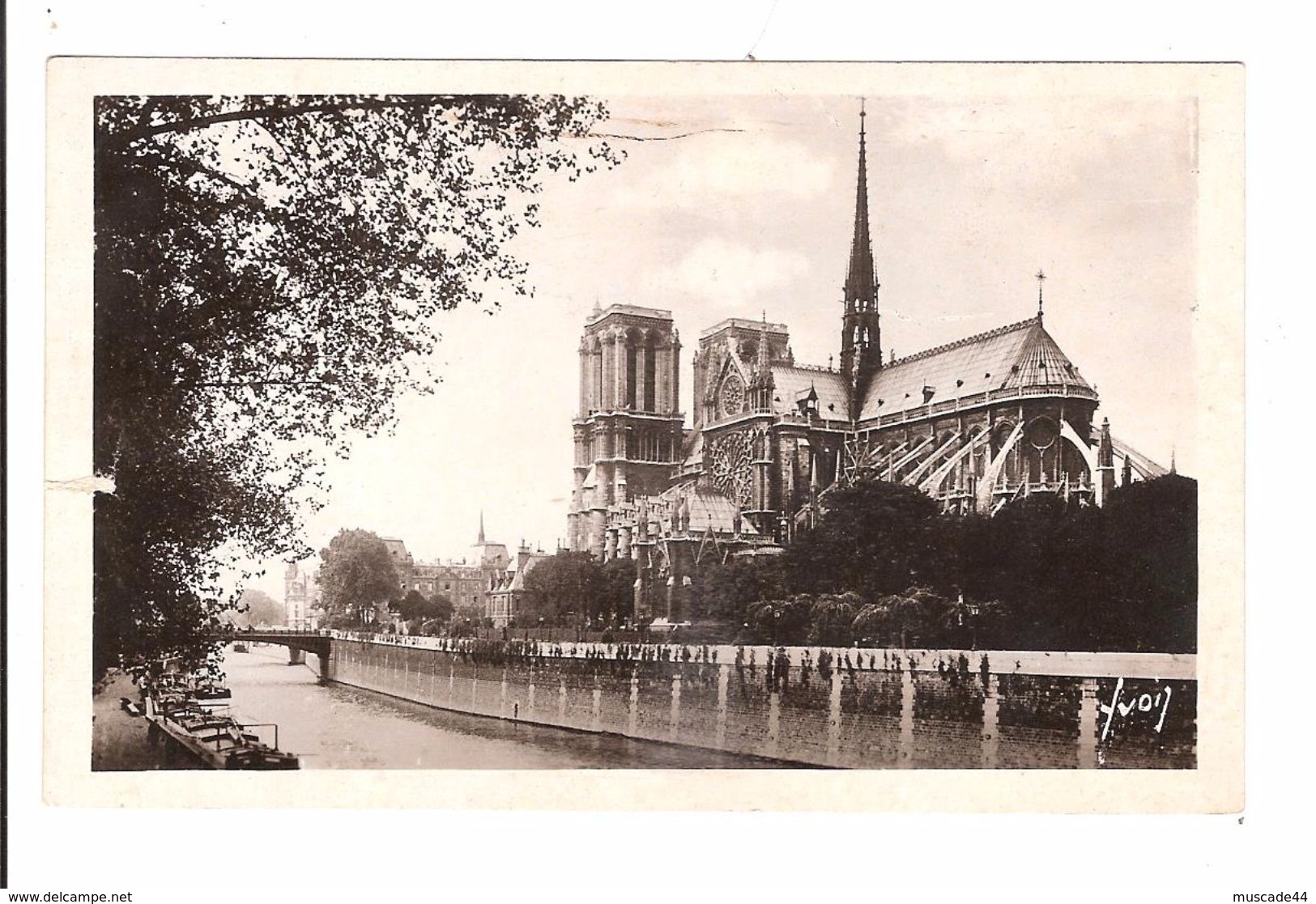 PARIS - NOTRE DAME ET LE SQUARE DE L ARCHEVECHE - Notre Dame De Paris