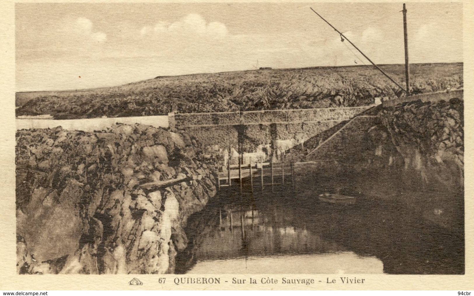 CPA  (56)     QUIBERON      Sur La Cote Sauvage Le Vivier - Quiberon