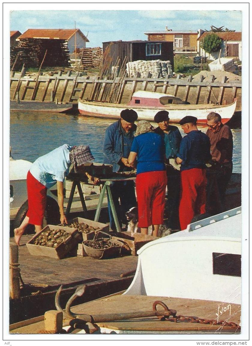 CP ANIMEE BASSIN D'ARCACHON, LE TRIAGE DES HUITRES, GIRONDE 33 - Arcachon