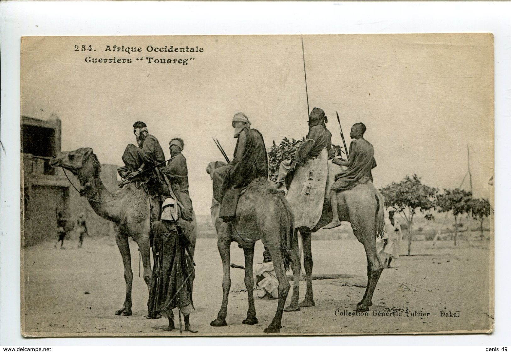 Guerriers Touareg Chameau - Sénégal