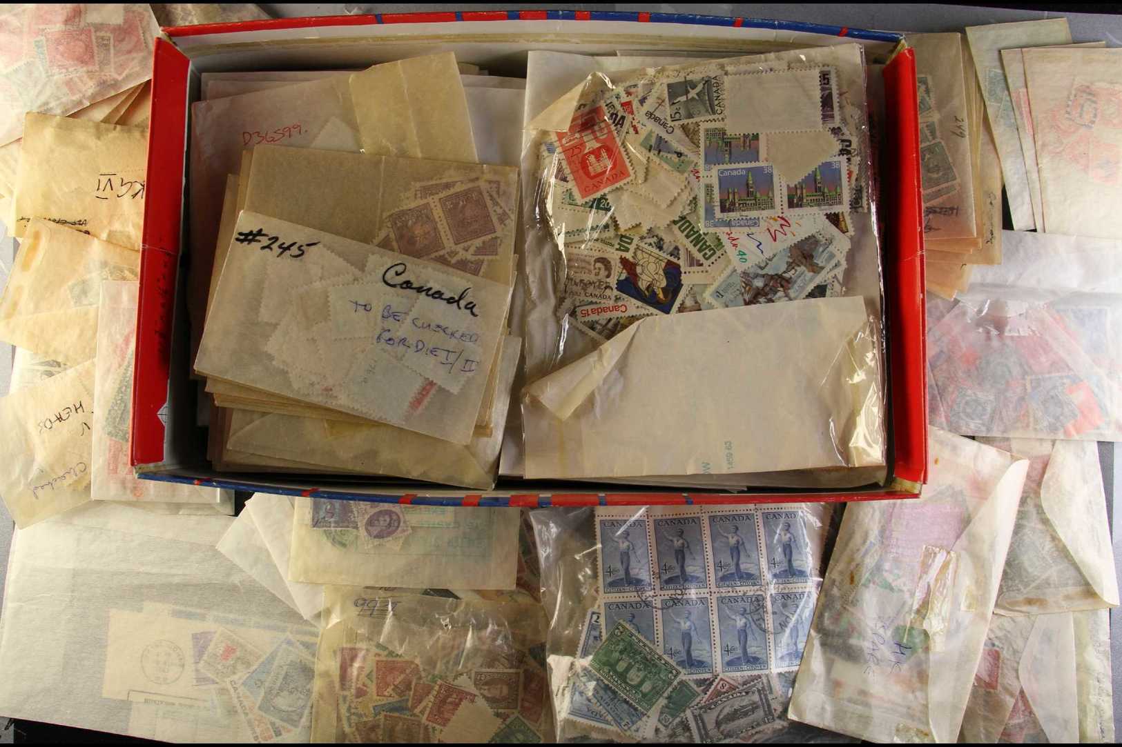 COMMONWEALTH GLASSINE BONANZA  A Shoebox Filled With An All Reign, Mostly Used Range In Glassine Envelopes & The Occasio - Altri & Non Classificati