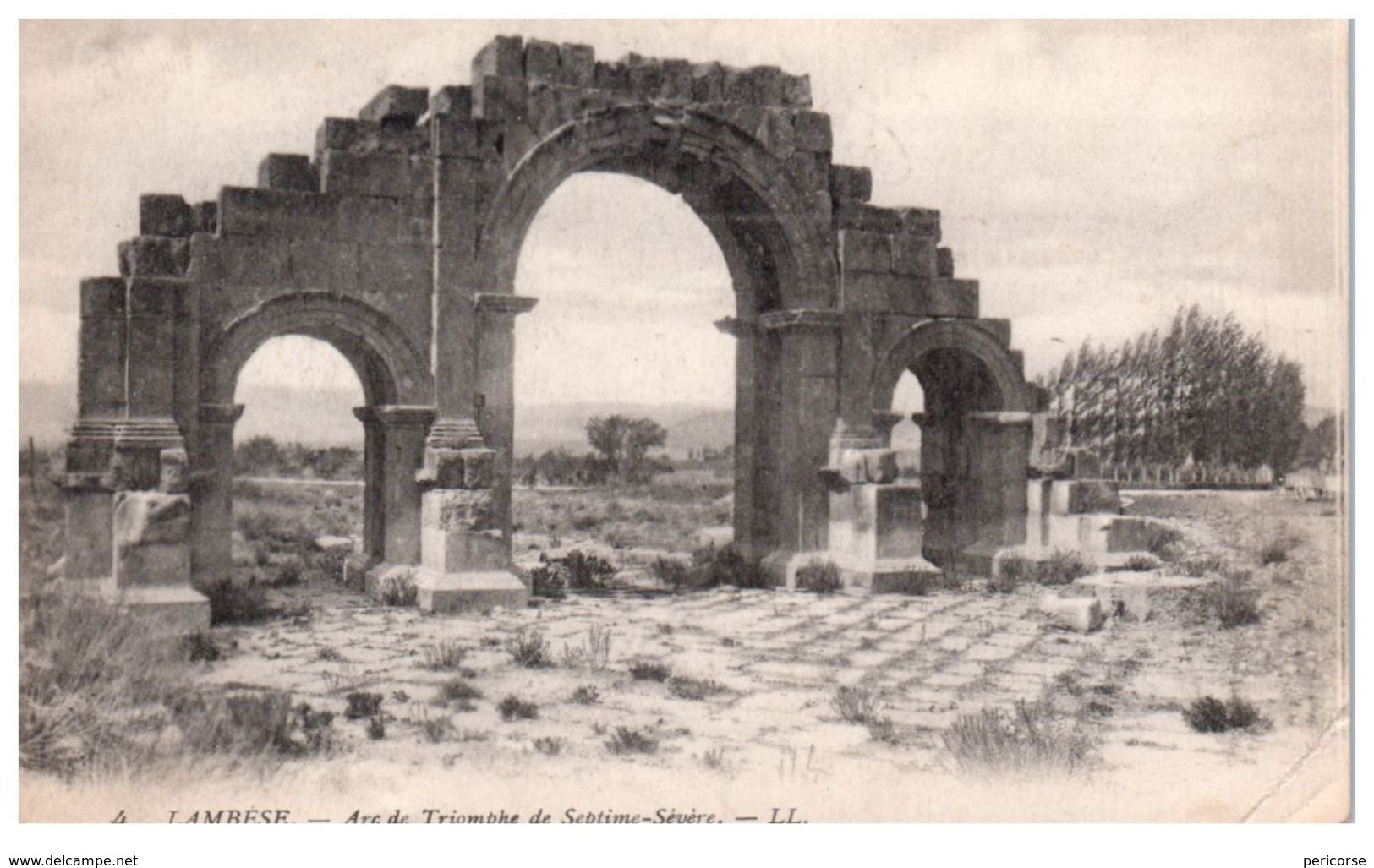 Tunisie   Lambese   Ruines Romaines - Túnez