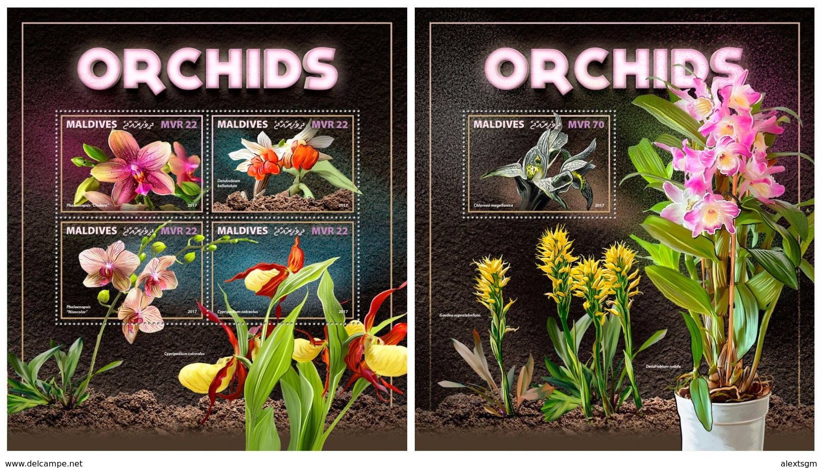 MALDIVES 2017 - Orchids. M/S + S/S Official Issue - Maldives (1965-...)