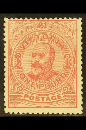 VICTORIA  1905-13 £1 Dull Rose Perf 12½, SG 431a, Fine Mint, Minor Gum Disturbance, Fresh Colour. For More Images, Pleas - Autres & Non Classés